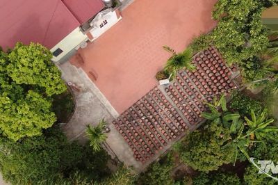 Tương nếp và nghệ thuật lên men đặc biệt