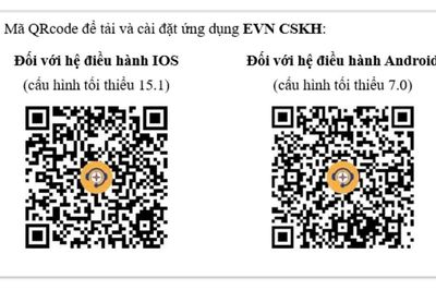 EVN cảnh báo thủ đoạn OTP giả mạo đánh cắp thông tin khách hàng