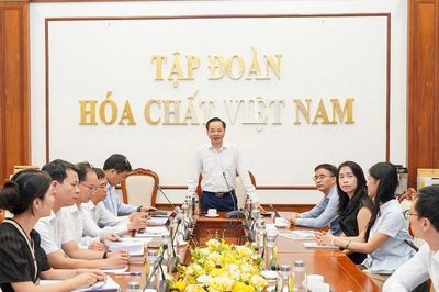 Tổng Giám đốc Vinachem làm việc với Tổ công tác phát triển sản xuất hóa dược, dược phẩm