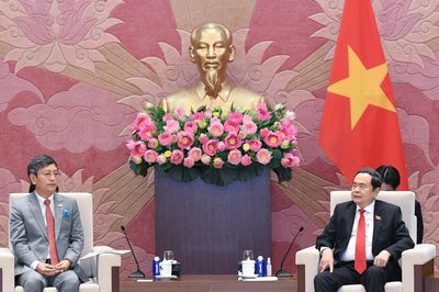 Quốc hội Việt Nam phối hợp chặt chẽ triển khai các thỏa thuận và nhận thức chung của lãnh đạo cấp cao Việt Nam - Ấn Độ