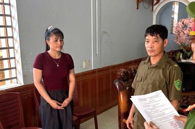 Khởi tố 3 bị can mua bán, giết mổ lợn nhiễm dịch tả châu Phi