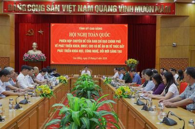 Phiên họp Chuyên đề Ban Chỉ đạo của Chính phủ về phát triển khoa học công nghệ, đổi mới sáng tạo, chuyển đổi số và Đề án 06