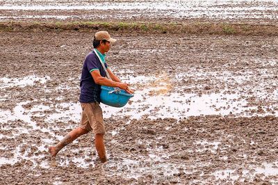 Hơn 81.700 ha lúa hè thu đã xuống giống ở Cà Mau