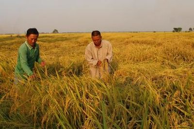 Dấu ấn ông Sáu Dân trên vùng đất Chín Rồng: Kỳ cuối: Kỳ tích trên vùng đất khó