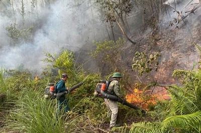 Khống chế thành công vụ cháy rừng quy mô lớn sau 2 ngày vật lộn với 'bà hỏa'