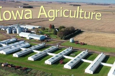 Biến động chính trị tại Iowa gây lo ngại cho nông dân Hoa Kỳ