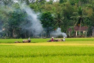 Nông nghiệp, nông dân, nông thôn - mối quan tâm hàng đầu của Đảng và Nhà nước