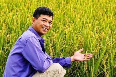 Hành trình đưa bông lúa Nhật J02 bén rễ trên đồng quê Vĩnh Hòa