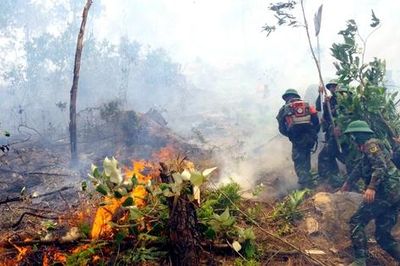 Nghệ An chỉ đạo khẩn, không để cháy rừng lan rộng trong nắng nóng cực đoan