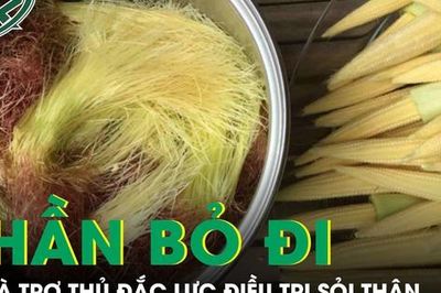 Phần thường bị bỏ đi của bắp ngô lại là 'trợ thủ đắc lực' hỗ trợ điều trị sỏi thận