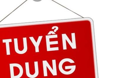 Điều chỉnh một số nội dung tại Thông báo tuyển dụng viên chức năm 2026 của Văn phòng Hội đồng Y khoa Quốc gia