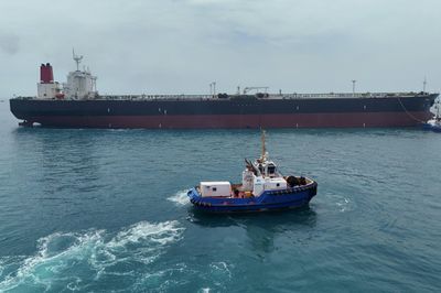 Sinh vật biển làm khó tàu ở Hormuz