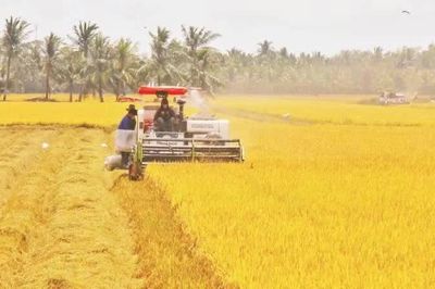 Từ 'trụ đỡ' kinh tế đến động lực cho tăng trưởng hai con số