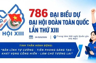 [Infographic] 786 đại biểu dự Đại hội Đoàn toàn quốc lần thứ XIII