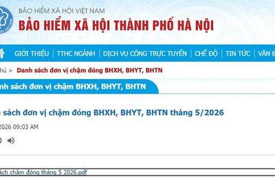 Các quy định xử lý hành vi chậm đóng, trốn đóng bảo hiểm xã hội, bảo hiểm y tế