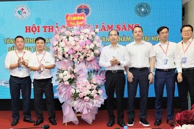 Tối ưu hóa sử dụng thuốc và nâng cao an toàn cho người bệnh