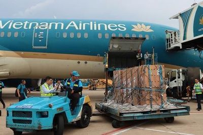 Sếu đầu đỏ 'bay' từ Thái Lan về Việt Nam bằng Boeing 787