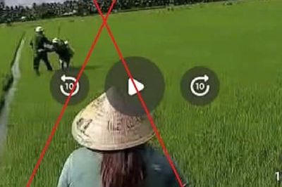 Vĩnh Long: Làm rõ vụ phun thuốc diệt cỏ vào lực lượng công an
