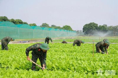 Thực túc, binh cường ở Trung đoàn 102