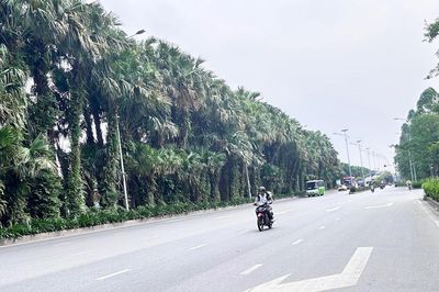 Thời tiết ngày 24/6: Vùng núi Bắc Bộ ngày nắng nóng, chiều tối mưa dông