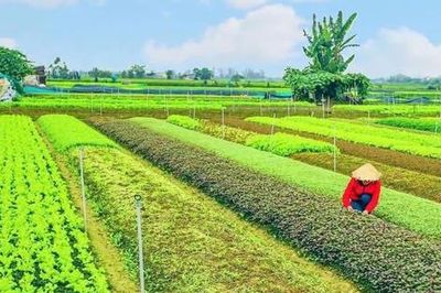 TP Huế phát triển sản phẩm OCOP gắn với du lịch và làng nghề truyền thống