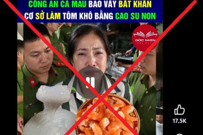 Cà Mau bác tin 'tôm khô làm từ cao su non', công an vào cuộc