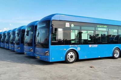 TP.HCM đưa xe buýt điện vào khai thác trên 3 tuyến từ cuối tháng 6