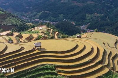 Lấp lánh ruộng bậc thang mùa nước đổ ở vùng cao Mù Cang Chải