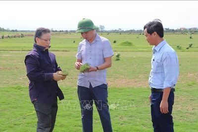 Khơi thông điểm nghẽn đang kìm hãm tín dụng xanh