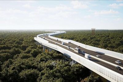 Cầu cạn qua Khu bảo tồn thiên nhiên - văn hóa Đồng Nai được thiết kế tường chống ồn và chắn sáng bảo vệ thú rừng