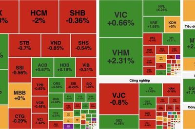 VN-Index tăng gần 9 điểm, cổ phiếu năng lượng và bất động sản dẫn sóng