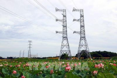 Bốn mạch đường dây 500kV Bắc - Nam cung cấp gần 20% điện cho miền Bắc trong cao điểm nắng nóng