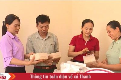 Hợp tác xã tiên phong liên kết sản xuất lúa chất lượng cao