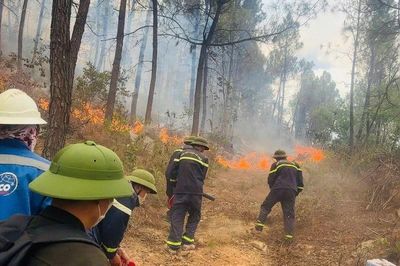 Cháy rừng tại phường Hải Bình