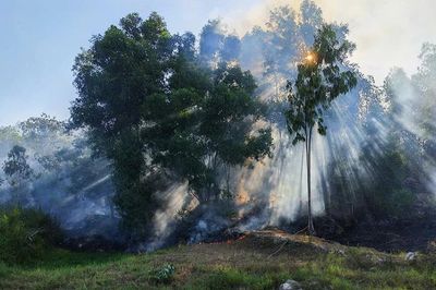 Đám cháy khu vực rừng giáp ranh phường Trúc Lâm và phường Đào Duy Từ đã được khống chế