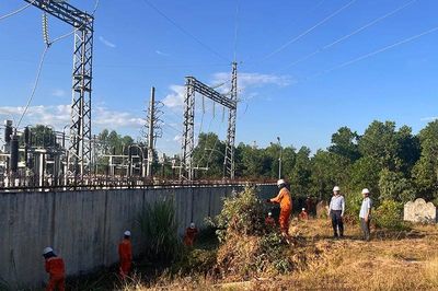 Tạm ngừng cung cấp điện khẩn cấp do cháy rừng