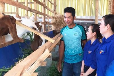 Tiếp sức thanh niên lập nghiệp
