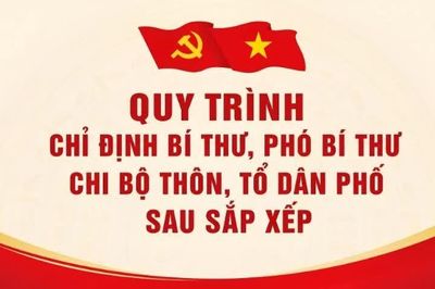 [Infographic] Quy trình chỉ định bí thư và phó bí thư chi bộ thôn, tổ dân phố sau sắp xếp