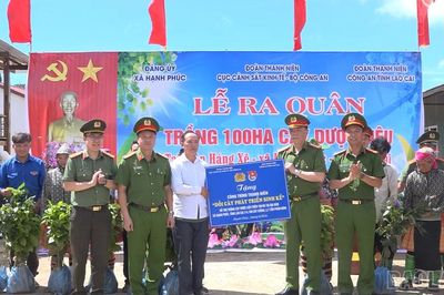 Hạnh Phúc ra quân trồng 100 ha cây dược liệu