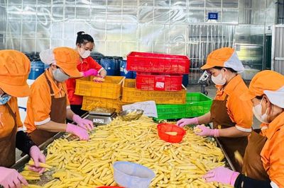 Đẩy mạnh đổi mới sáng tạo và chuyển đổi số để nâng cao Chỉ số BPI