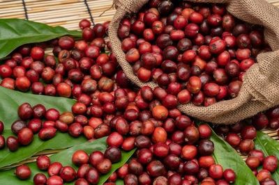 Giá cà phê hôm nay 24/6: Arabica tăng mạnh do mưa kéo dài tại Brazil
