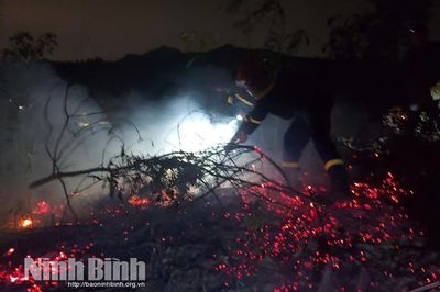 Huy động khoảng 250 người tham gia dập cháy thảm thực bì tại khu vực núi Đụn và núi Chùa Tiên