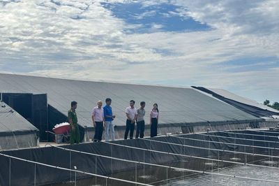 Tín dụng chính sách: Điểm tựa nhân văn kiến tạo cuộc sống mới
