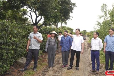 Học tập cách làm từ những chuyến đi thực tế