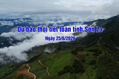 Dự báo thời tiết toàn tỉnh Sơn La ngày 25/6/2026