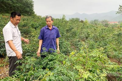 Bảo đảm đầu ra bền vững cho nông sản