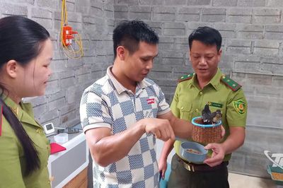 Siết chặt quản lý chăn nuôi động vật hoang dã