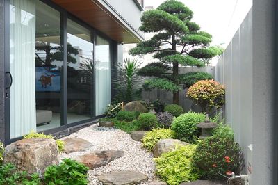 Xu hướng sống xanh giữa lòng đô thị