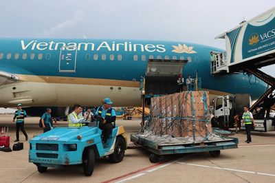 Chuyến bay đặc biệt chắp cánh cho sếu đầu đỏ hồi sinh trên vùng đất Tràm Chim
