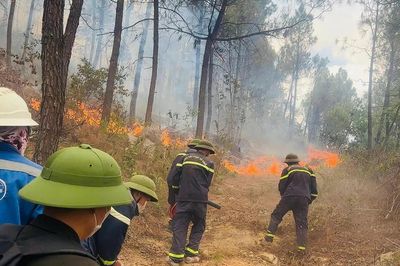 Thanh Hóa: Ba vụ cháy rừng trong một ngày